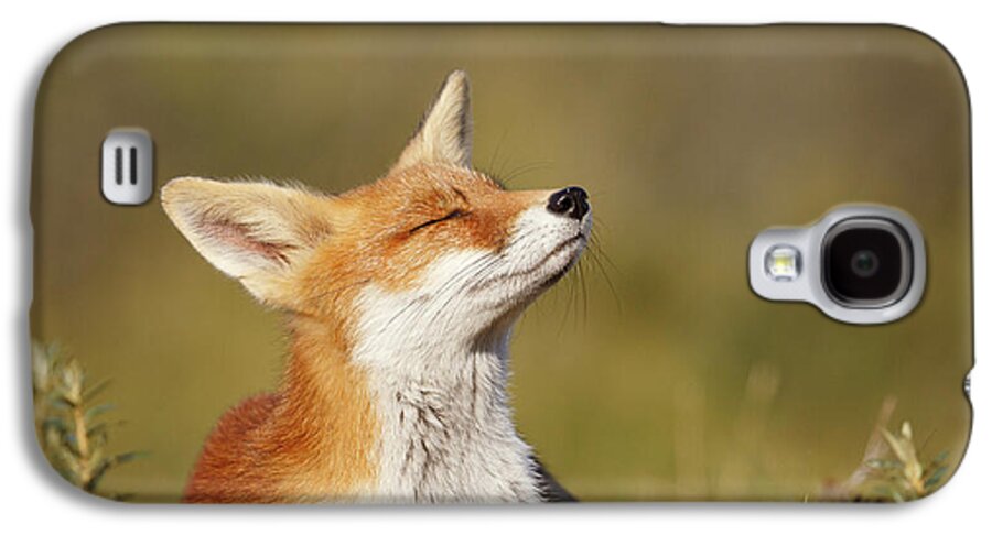 Red Fox Galaxy S4 Case featuring the photograph Zen Fox Series - Summer Fox by Roeselien Raimond