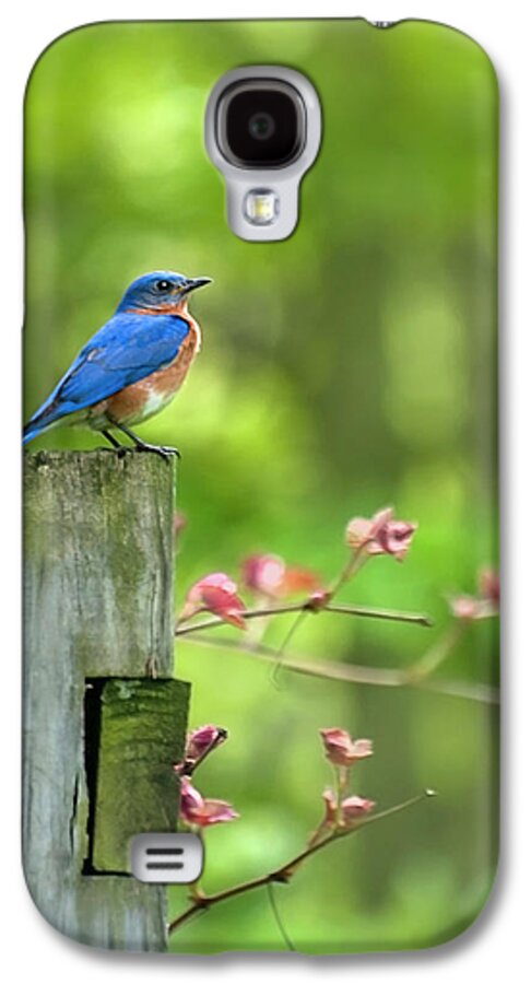 Bluebird Galaxy S4 Case featuring the photograph Eastern Bluebird by Christina Rollo