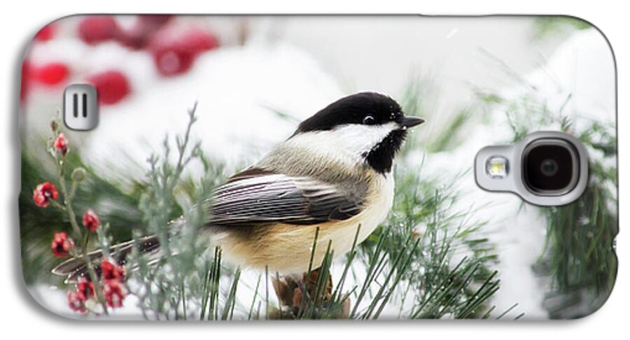 Winter Galaxy S4 Case featuring the photograph Snowy Chickadee Bird by Christina Rollo