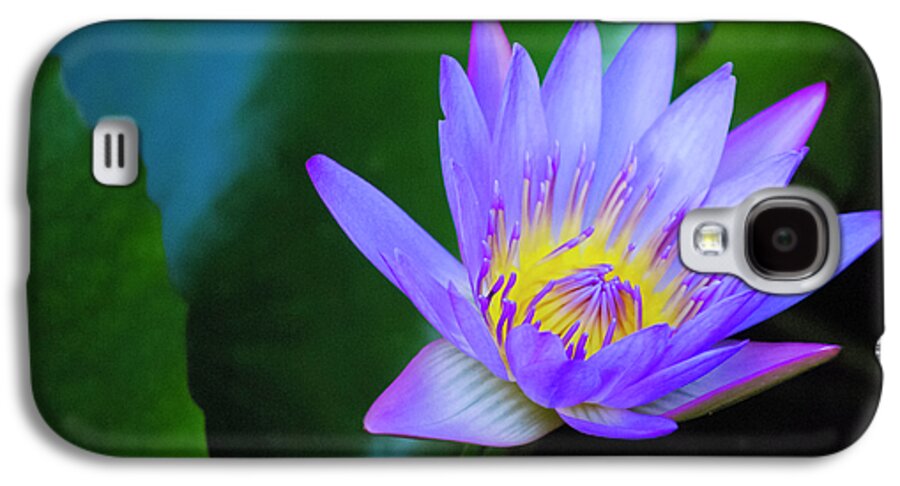 Exotic Flower Galaxy S4 Case featuring the photograph Purple Water Lily by Christi Kraft