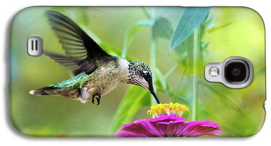 Hummingbird Galaxy S4 Case featuring the photograph Sweet Success by Christina Rollo
