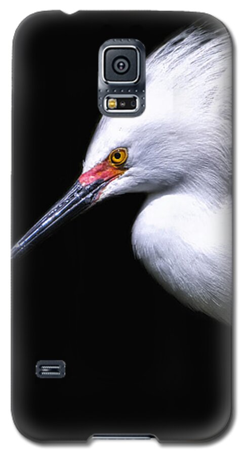 Crystal Yingling Galaxy S5 Case featuring the photograph A Little Light by Ghostwinds Photography