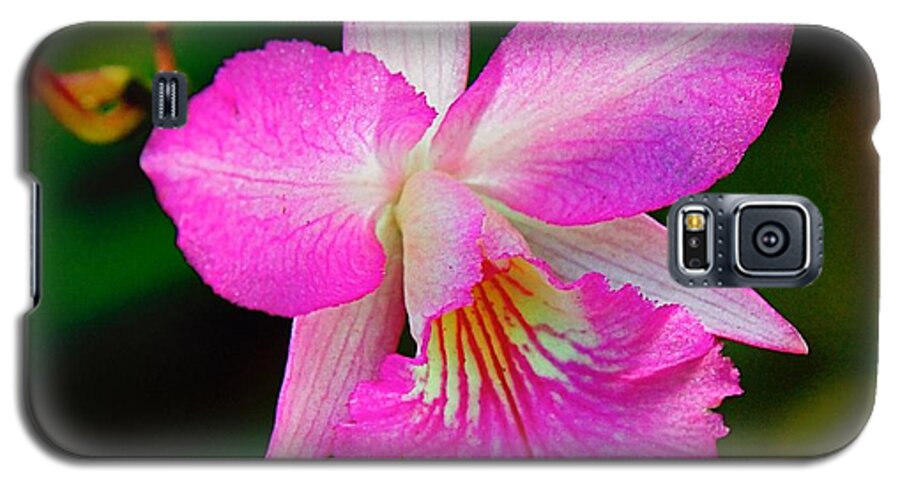 Orchid Flower Galaxy S5 Case featuring the photograph Orchid Flower by Nicola Fiscarelli