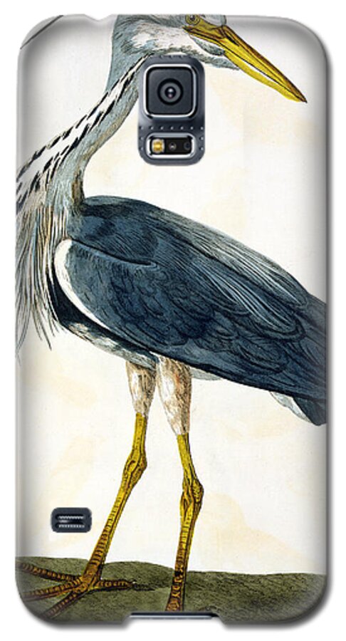 Freshwater Bird; Wader; Print Galaxy S5 Case featuring the painting The Heron by Peter Paillou