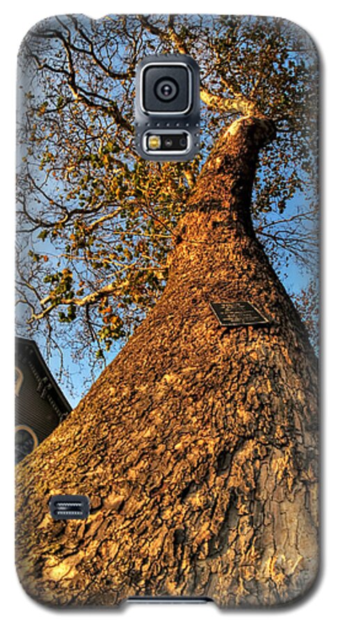  Galaxy S5 Case featuring the photograph 001 Oldest Tree Believed to be Here in the Q.C. Series by Michael Frank Jr