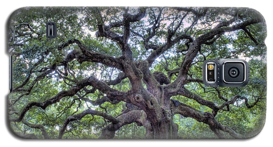 Angel Oak Galaxy S5 Case featuring the photograph Angel Oak #1 by Dustin K Ryan
