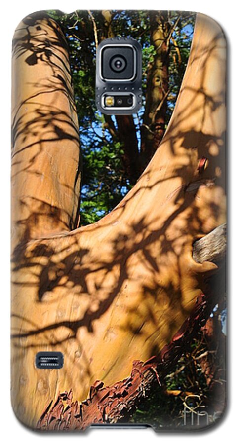  Galaxy S5 Case featuring the photograph Arbutus Tree #1 by Sharron Cuthbertson