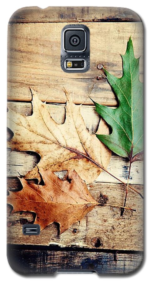 Autumn Galaxy S5 Case featuring the photograph Autumn Leaves Ablaze with Color #1 by Kim Fearheiley