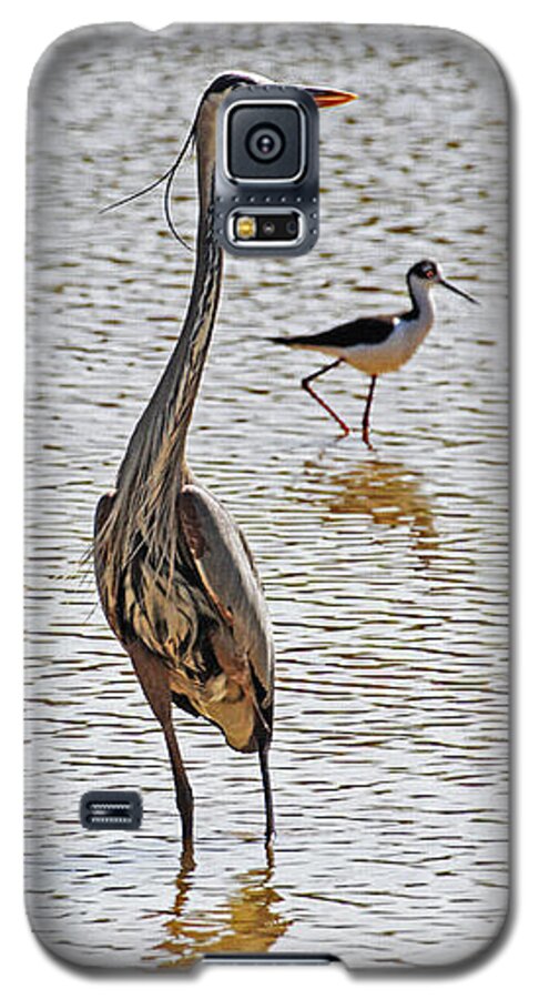 Blue Heron And Stilt Galaxy S5 Case featuring the photograph Blue Heron And Stilt #1 by Tom Janca