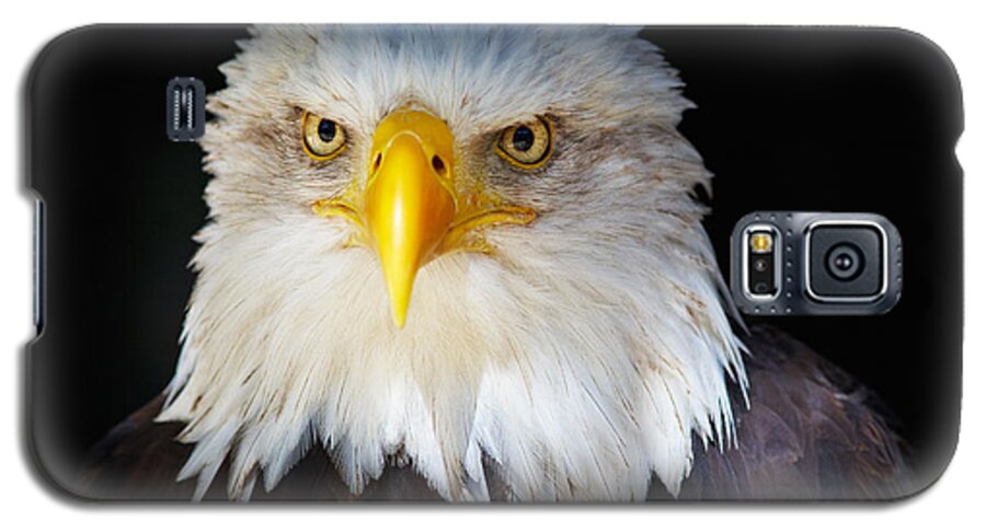 Alaska Galaxy S5 Case featuring the photograph Closeup portrait of an American Bald Eagle #1 by Nick Biemans