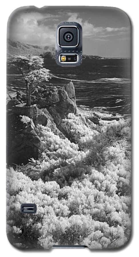 Ir Galaxy S5 Case featuring the photograph Cypress Point #1 by Richard Stedman