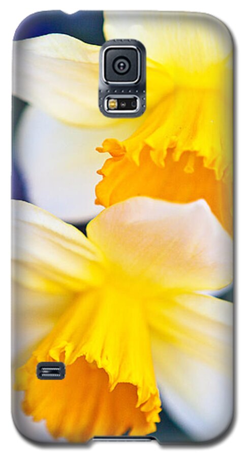 Daffodils Galaxy S5 Case featuring the photograph Daffodils by Roselynne Broussard