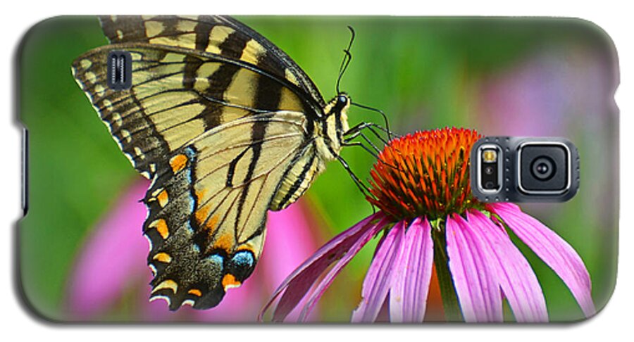 Butterfly Galaxy S5 Case featuring the photograph Eastern Tiger Swallowtail #1 by Rodney Campbell