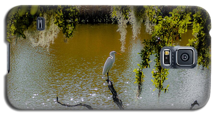 White Heron Galaxy S5 Case featuring the photograph Egret #1 by Dale Powell