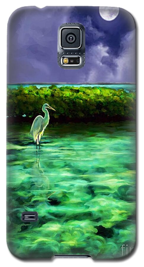 Moon Light Scene Galaxy S5 Case featuring the painting Full Moon Fishing #1 by David Van Hulst