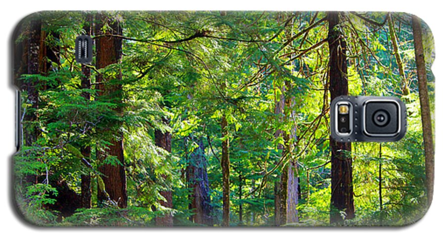 Hoh Galaxy S5 Case featuring the photograph Hoh Rain Forest #1 by Jeanette C Landstrom