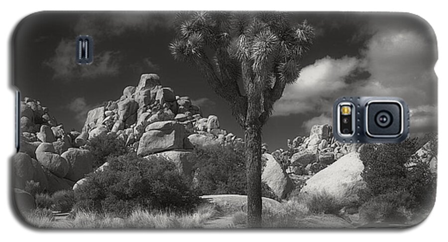 Joshua Tree National Park Galaxy S5 Case featuring the photograph Joshua Tree National Park #1 by Sandra Selle Rodriguez