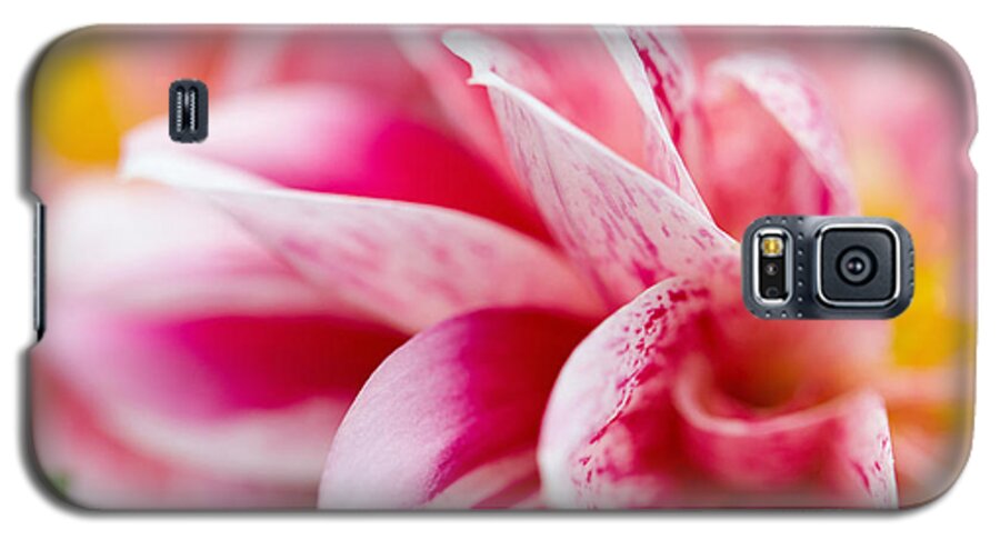 Pink Galaxy S5 Case featuring the photograph Macro image of a pink flower #2 by Nick Biemans