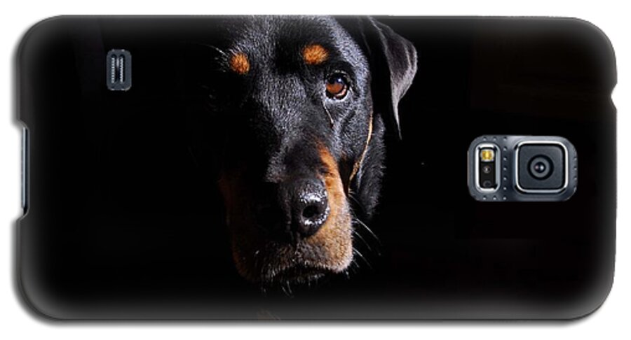 Dogs Galaxy S5 Case featuring the photograph Mandy #1 by Cindy Manero