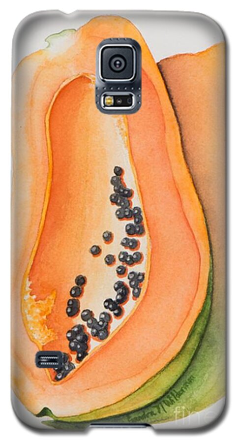 Mexican Galaxy S5 Case featuring the painting Mexican Papaya by Sandra Neumann Wilderman