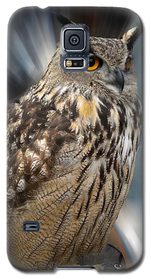 Colette Galaxy S5 Case featuring the photograph Owl Alba Spain #2 by Colette V Hera Guggenheim