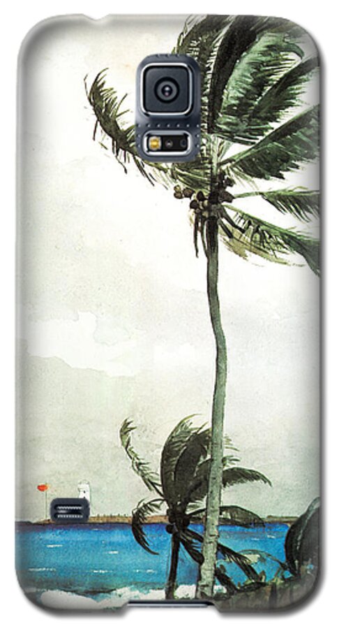 Winslow Homer Galaxy S5 Case featuring the painting Palm Tree Nassau by Celestial Images