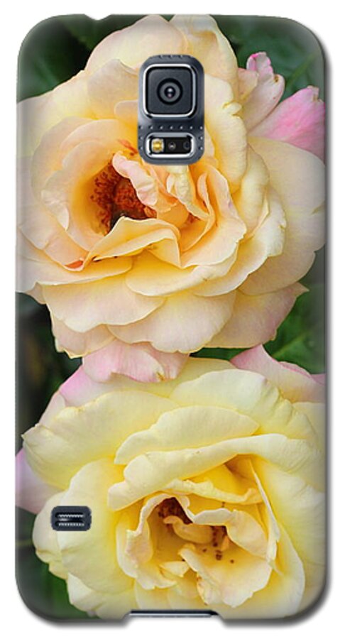 Peace Rose Galaxy S5 Case featuring the photograph Peace Roses by Cathy Lindsey