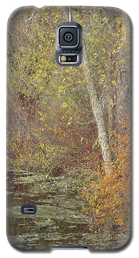 Autumn Galaxy S5 Case featuring the photograph Pondside Pastel by Ann Horn