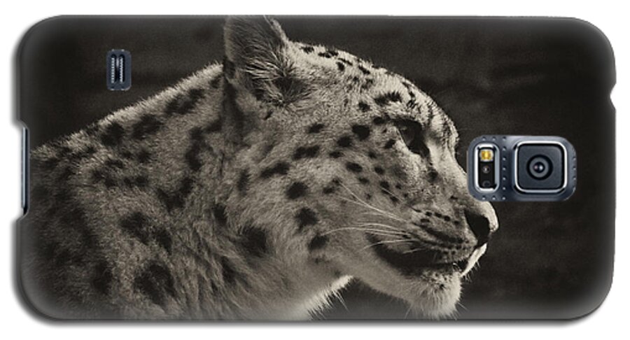 Marwell Galaxy S5 Case featuring the photograph Profile of a Snow Leopard #1 by Chris Boulton