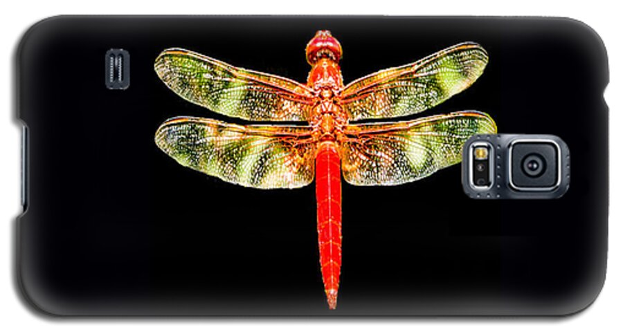 Red Dragonfly Galaxy S5 Case featuring the photograph Red Dragonfly Small by Tony Grider