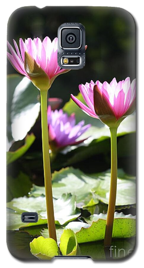 Water Lily Galaxy S5 Case featuring the photograph Standing Tall #2 by Craig Wood