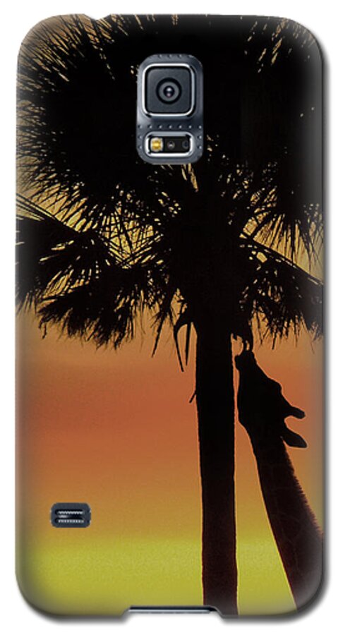 Sunset Galaxy S5 Case featuring the photograph Sunset Giraffe #1 by Joseph G Holland