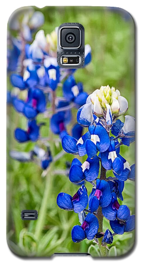 Bluebonnet Galaxy S5 Case featuring the photograph Texas Bluebonnets #1 by Victor Culpepper