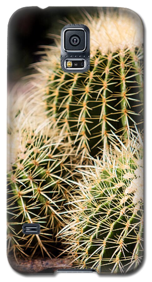 Botanical Galaxy S5 Case featuring the photograph Triple Cactus #2 by John Wadleigh