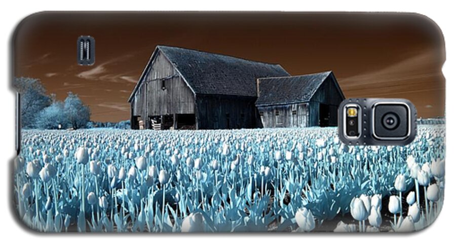 Barn Galaxy S5 Case featuring the photograph Tulip Barn #1 by Rebecca Parker