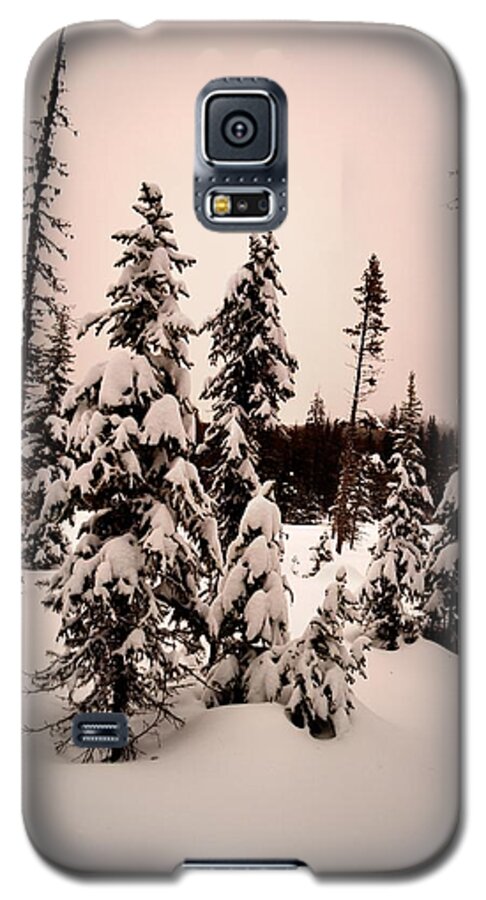 Apex Mountain Galaxy S5 Case featuring the photograph TwilightWinter #1 by Guy Hoffman