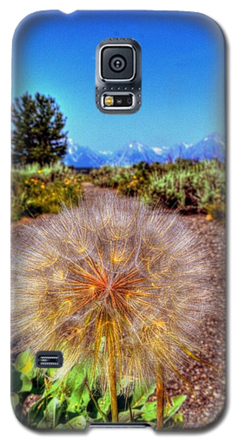 Jackson Lake Lodge Wyoming Usa Galaxy S5 Case featuring the photograph Jackson Lake Lodge Wyoming USA #5 by Paul James Bannerman