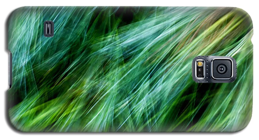 Joanne Bartone Photographer Galaxy S5 Case featuring the photograph Meditations on Movement in Nature #10 by Joanne Bartone