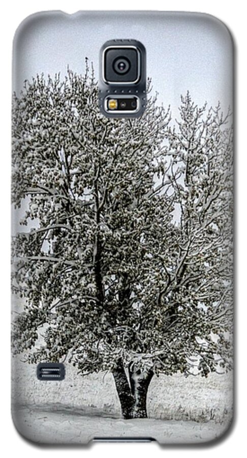 Waterton Lakes Nat'l Park Alberta Canada Galaxy S5 Case featuring the photograph Waterton Lakes Nat'l Park Alberta Canada #15 by Paul James Bannerman