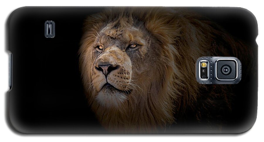 Africa Galaxy S5 Case featuring the photograph African Lion #2 by Peter Lakomy