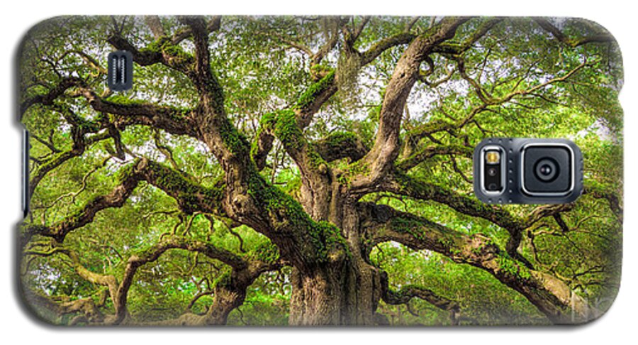 #faatoppicks Galaxy S5 Case featuring the photograph Angel Oak Tree of Life #2 by Dustin K Ryan