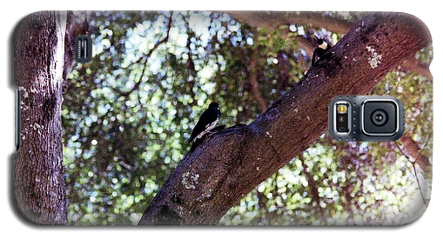 Birds Galaxy S5 Case featuring the photograph Bird in tree #2 by Karl Rose