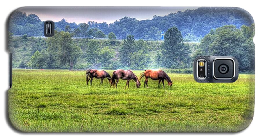 Horse Galaxy S5 Case featuring the photograph Horses in a field #2 by Jonny D