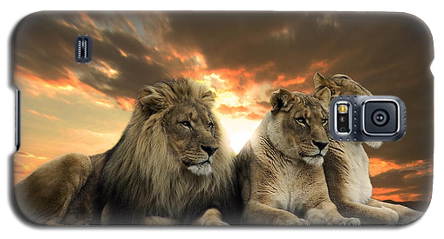 Lions And Sunset Galaxy S5 Case featuring the photograph Lions #2 by Christine Sponchia