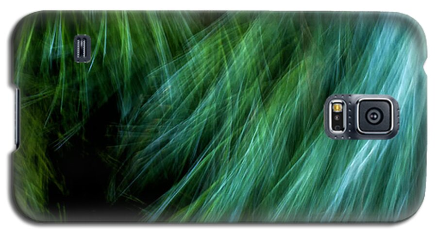 Joanne Bartone Photographer Galaxy S5 Case featuring the photograph Meditations on Movement in Nature #2 by Joanne Bartone