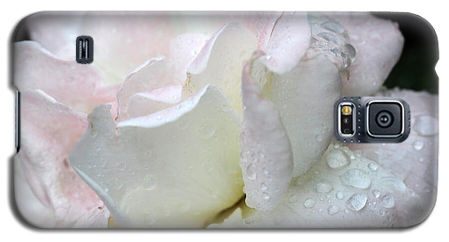 Pink Rose Galaxy S5 Case featuring the photograph Rain Washed #2 by Wanda Brandon