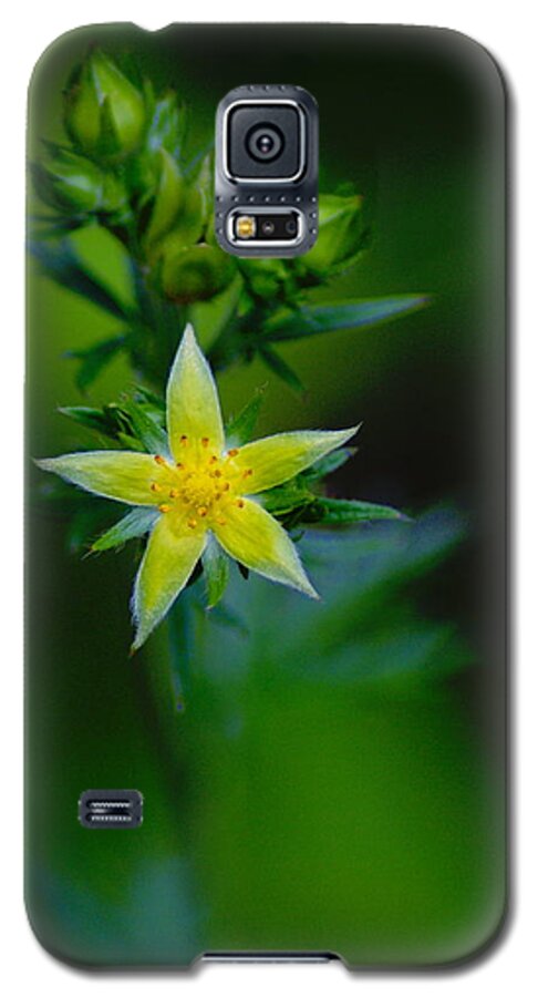 Flowers Galaxy S5 Case featuring the photograph StarFlower by Ben Upham III