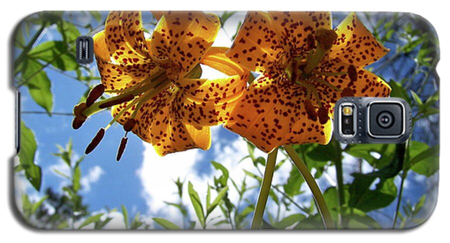 Flower Galaxy S5 Case featuring the photograph Two Tigers 'n' Sky #2 by Jamie Johnson