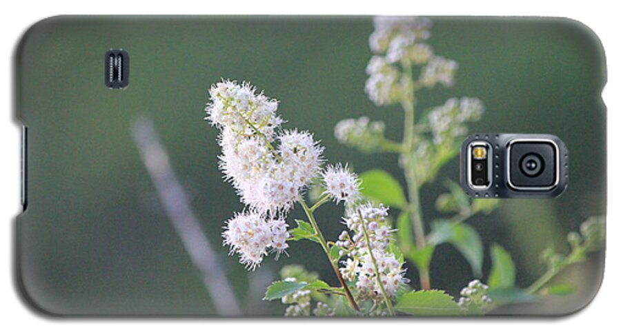 White Flower Galaxy S5 Case featuring the photograph White flower #2 by Susan Jensen