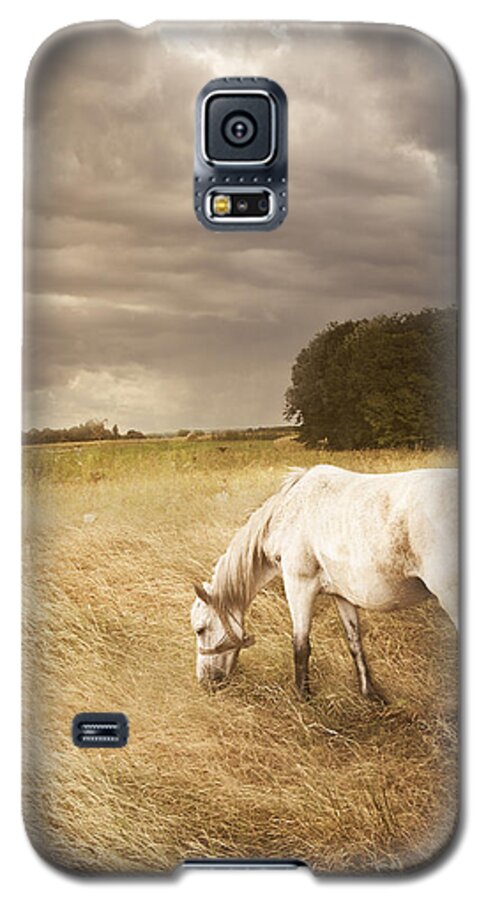 Horse Galaxy S5 Case featuring the photograph White Horse #1 by Jelena Jovanovic